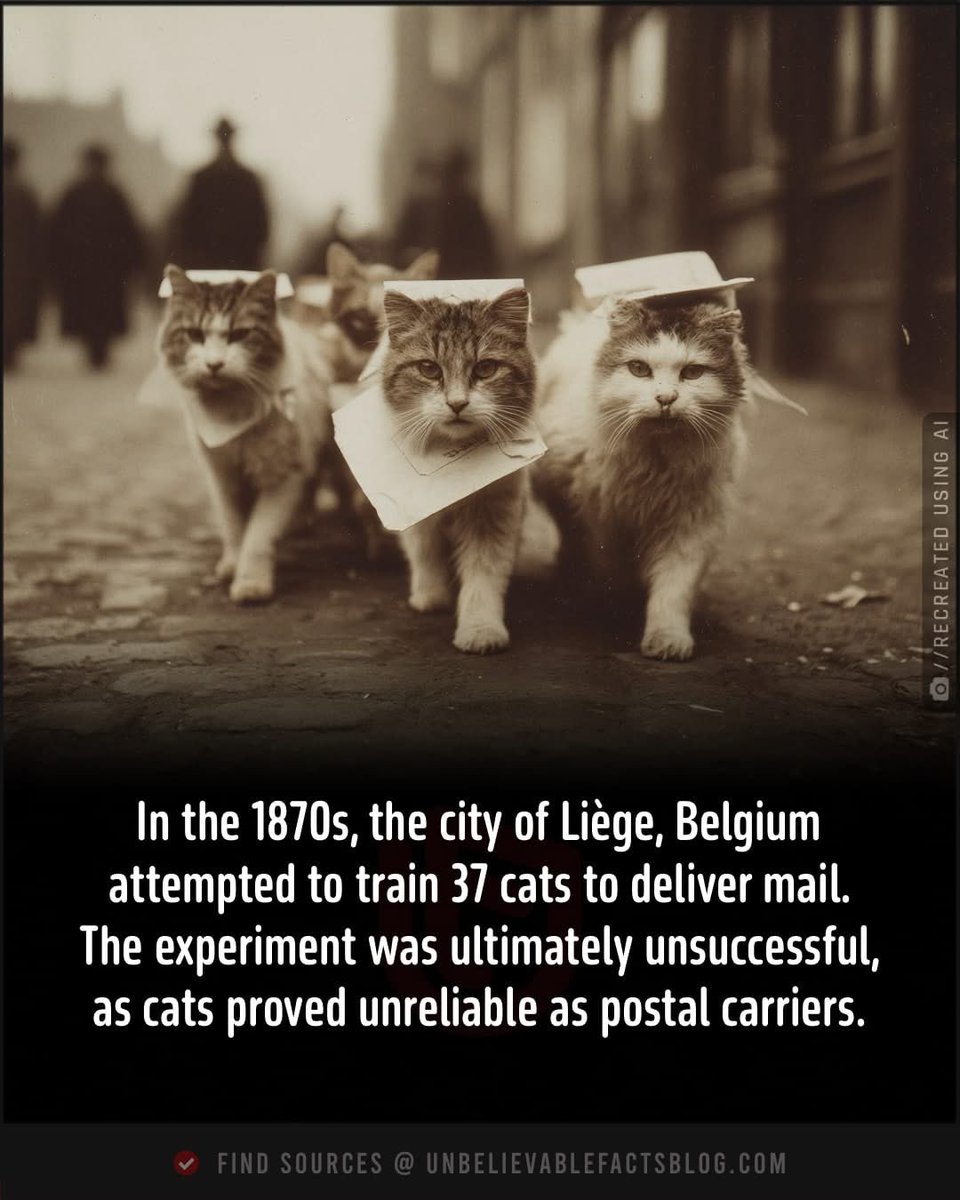 😹😹😹