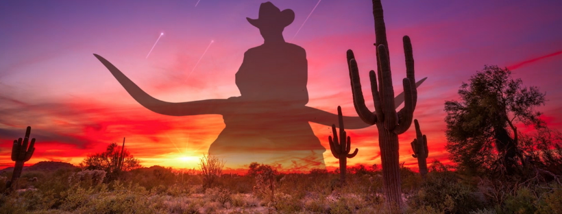 Vince Marotta (@vincemarotta) on Twitter photo 15 brands...17 dealerships. Currently almost 6,000 new and over 1,000 pre-owned vehicles available. <a href="/EarnhardtAuto/">Earnhardt Auto Centers</a> a trusted name in Arizona since 1951, and that ain't #NoBull #sponsored. Get more info and check inventory at nobull.com. 15 brands...17 dealerships. Currently almost 6,000 new and over 1,000 pre-owned vehicles available. <a href="/EarnhardtAuto/">Earnhardt Auto Centers</a> a trusted name in Arizona since 1951, and that ain't #NoBull #sponsored. Get more info and check inventory at nobull.com.