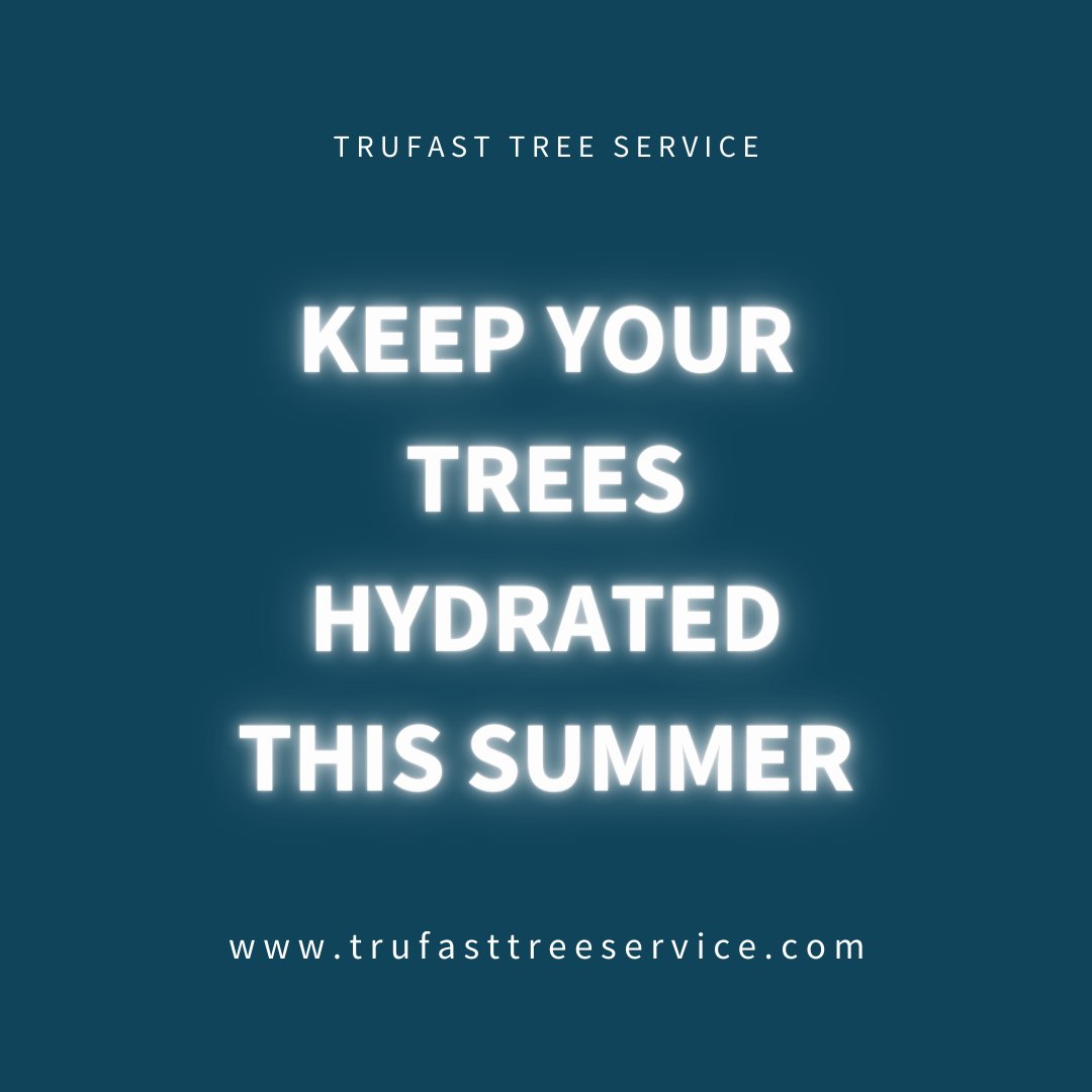 TrufastTree's tweet image. Keep Your Trees Hydrated This Summer! ☀️
Hot weather can stress your trees—keep them thriving with these tips:

💦 Water Deeply
📅 Stay Consistent
🧴 Check Soil Moisture
💧 Use Drip Irrigation
🪵 Mulch

Need expert tree care? Call 417-413-4729! 

#SummerTreeCare