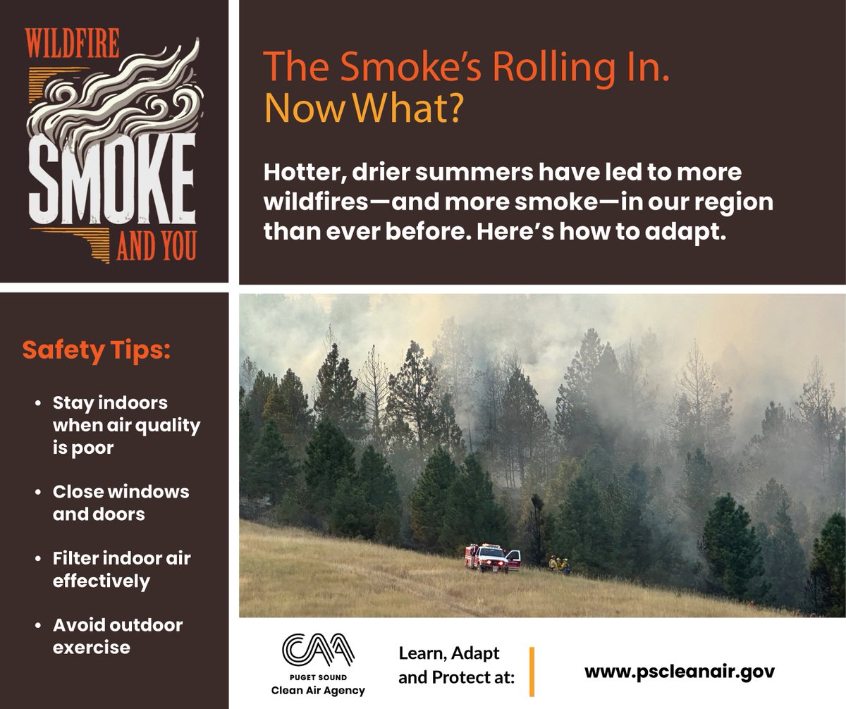 pscleanair's tweet image. As Summer provides us with more sunshine and a warmer weather, the drier and hotter air during this time may bring about wildfires. Learn more about how to be prepared for wildfire smoke and get daily air quality forecast on our website pscleanair.gov.