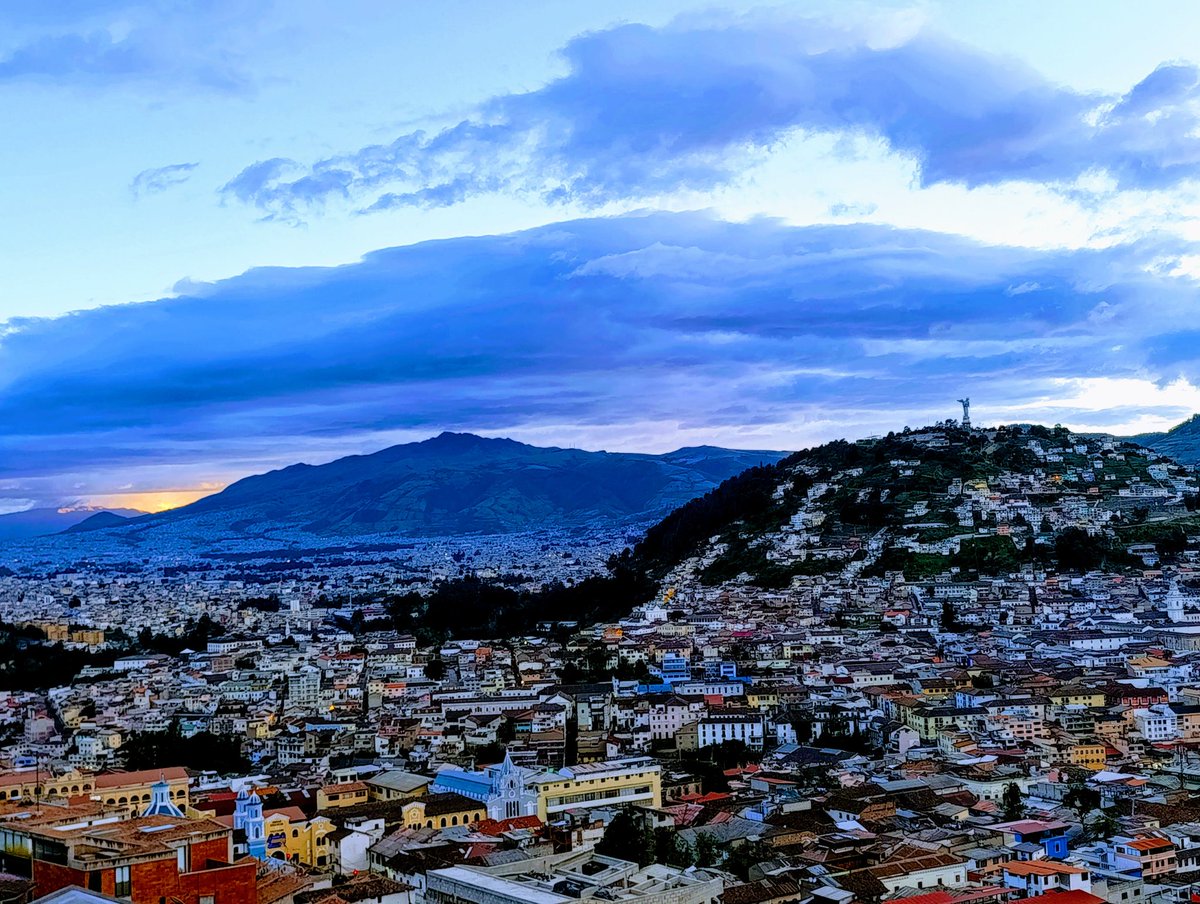 Fan Alí Valverde V. tweet media