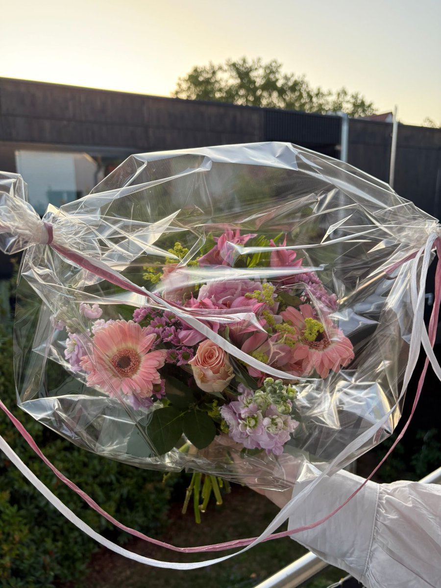 BroeSude's tweet photo. Evet artık çiçeklerim sıcak havaya dayanamadı ama geçen hafta çiçeklendik🥰 Herkes kalbînin ekmeğini yer iyi geceler 🌙 https://t.co/V2Xc39JPCR
