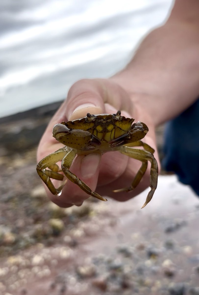 ItsMercey's tweet image. ♡