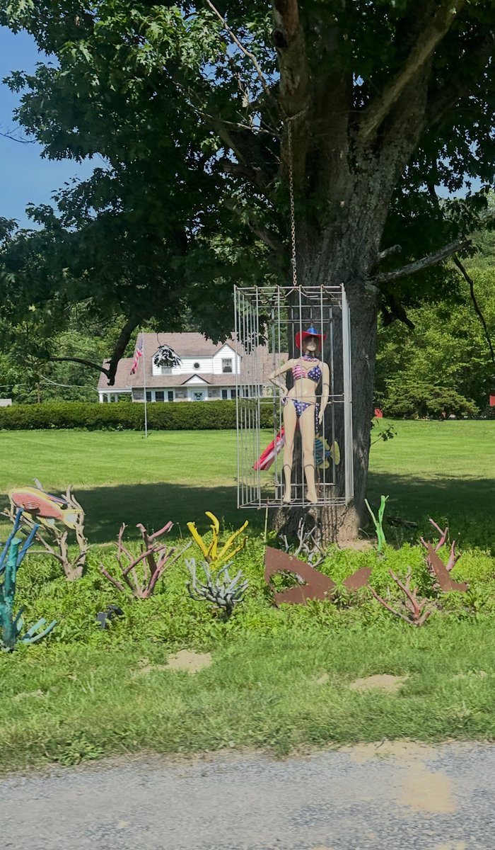 Alex Wilson tweet media