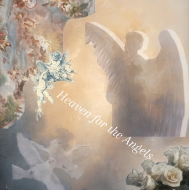 𝒜𝓃𝑔𝑒𝓁 𝐸𝓎𝑒𝓈….🪽 tweet media