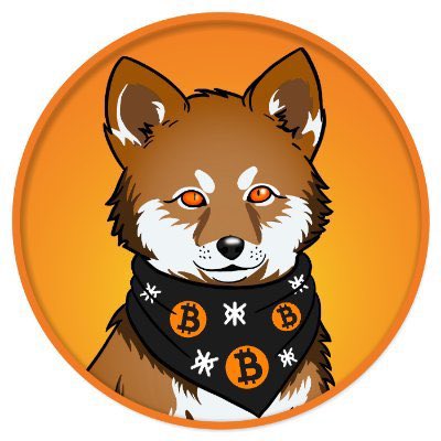 <a href="/arjunsethi/">Arjun Sethi</a> Always side by side! $DOG 🤝 $LOBO