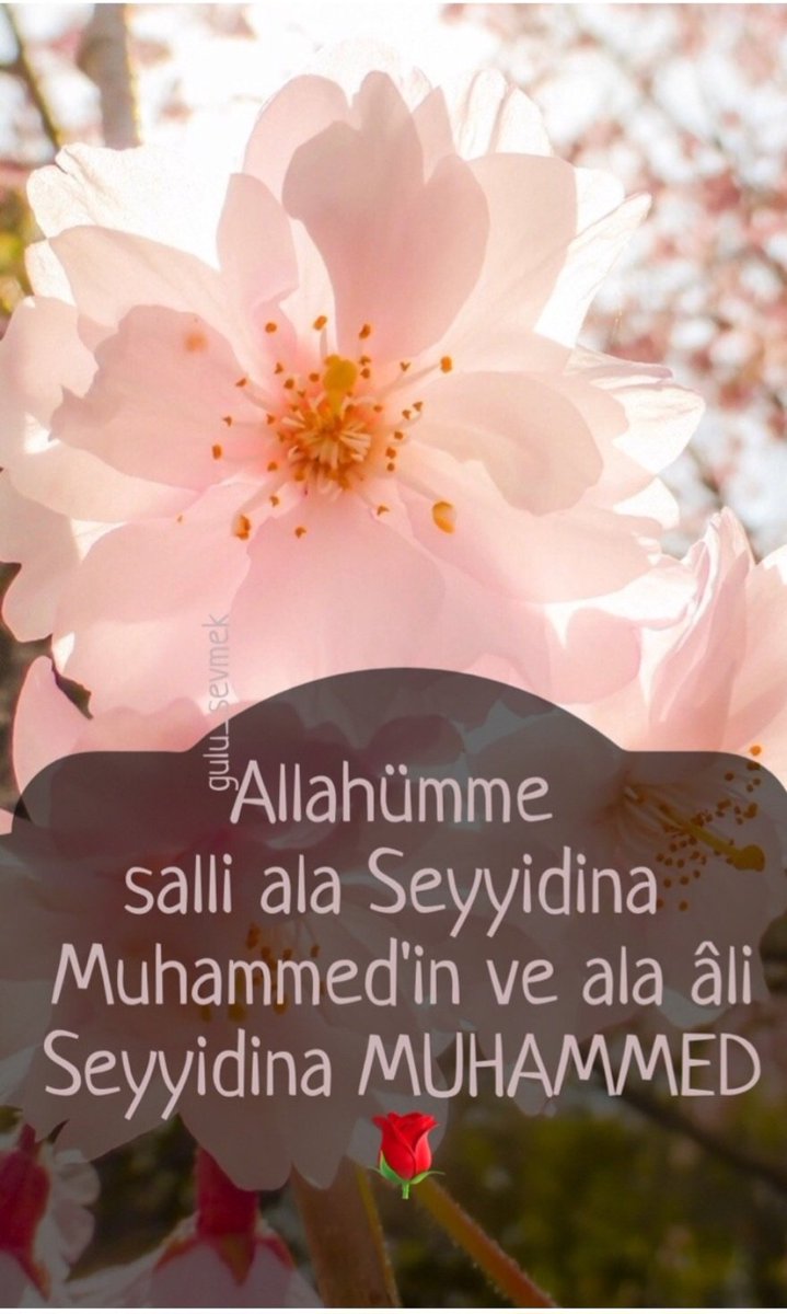 NurcinAltuntas's tweet photo. #Hzmuhammed #HzMuhammedeHakaretAffedilemez #hzmuhammedsav #hzmuhammedkırmızıcizgimizdir #hzmuhammedmustafasav #LemanDergisiKAPATILSIN #lemandergisikapatılsın https://t.co/PkFQ5HBg34