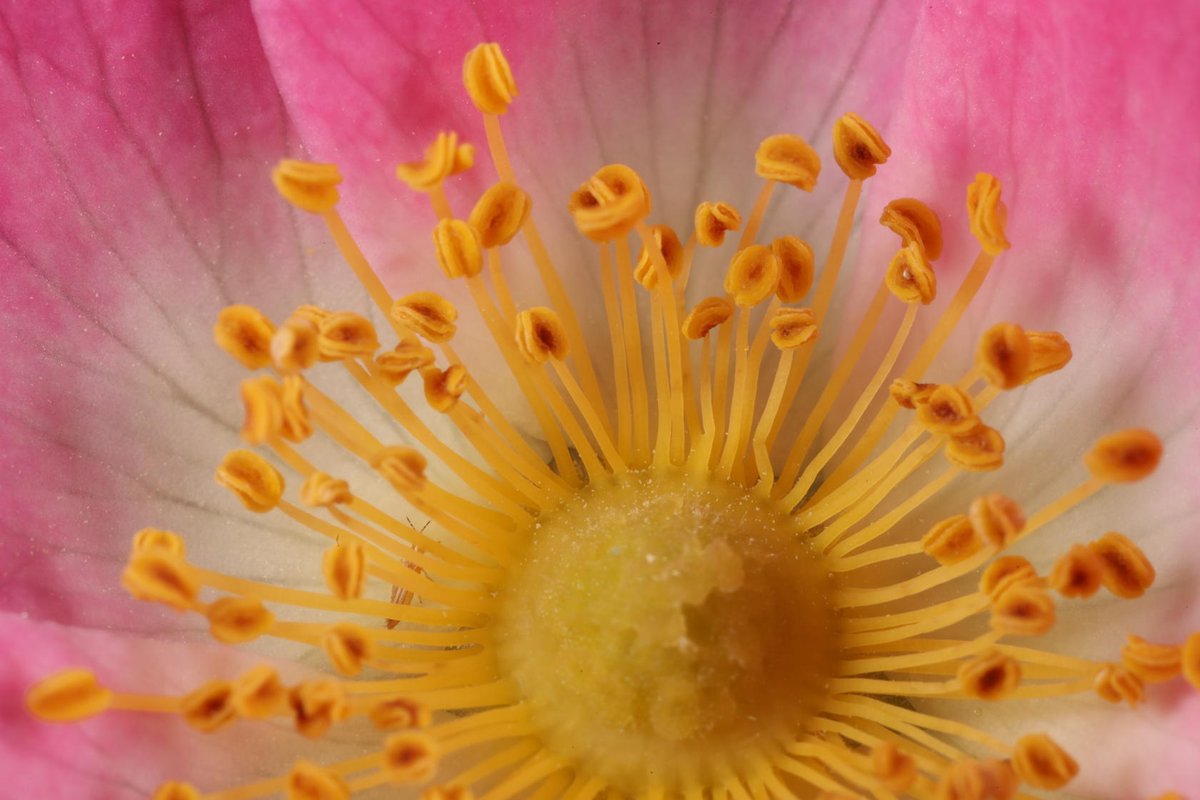 Alan Watson Featherstone tweet media