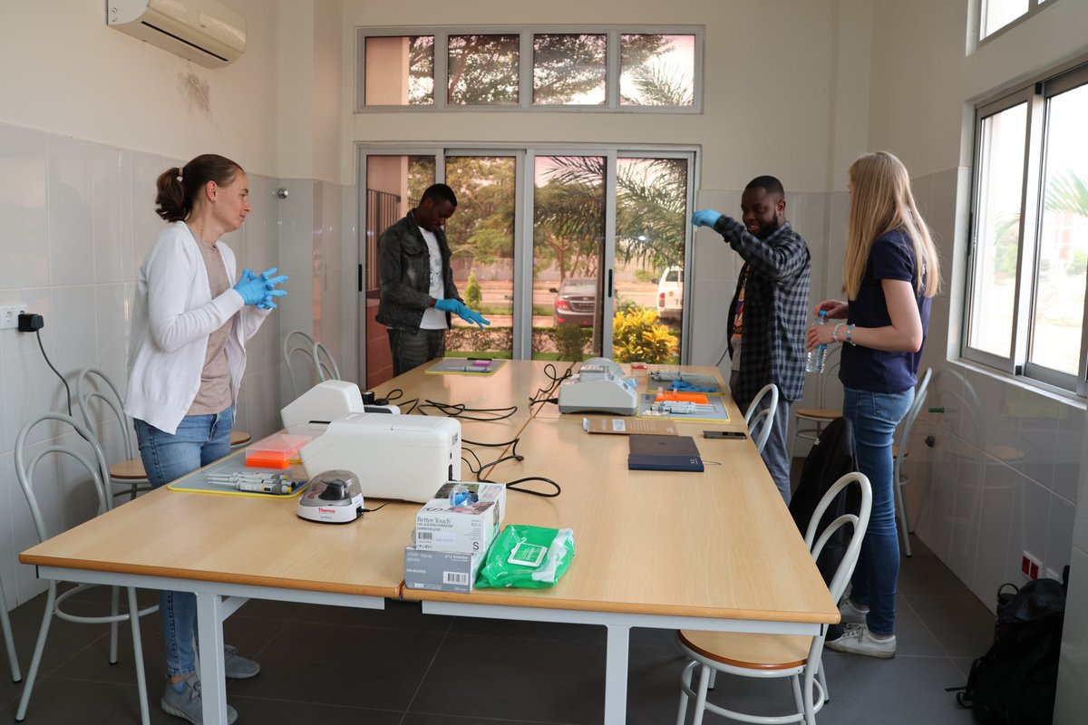 Manuela Carneiro tweet media