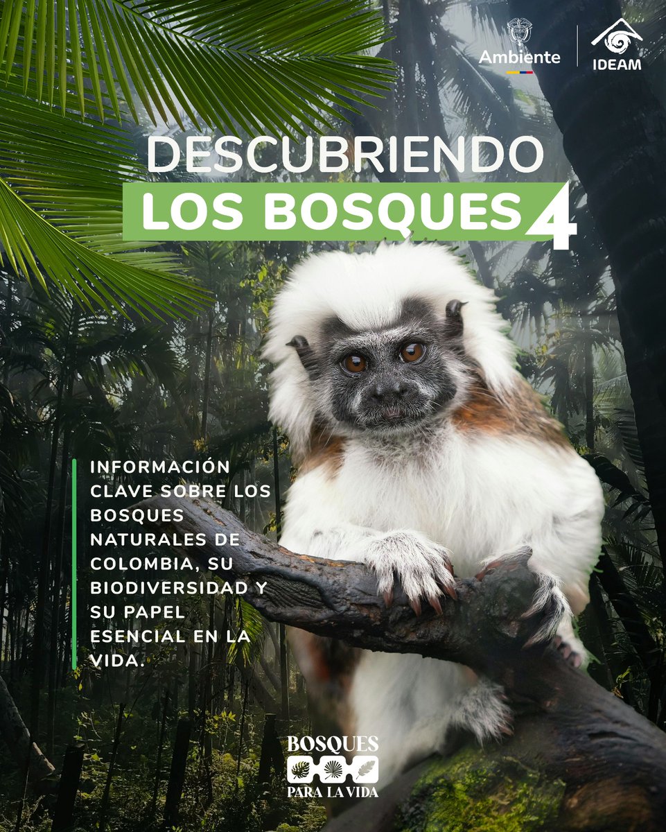 Ideam Colombia tweet media