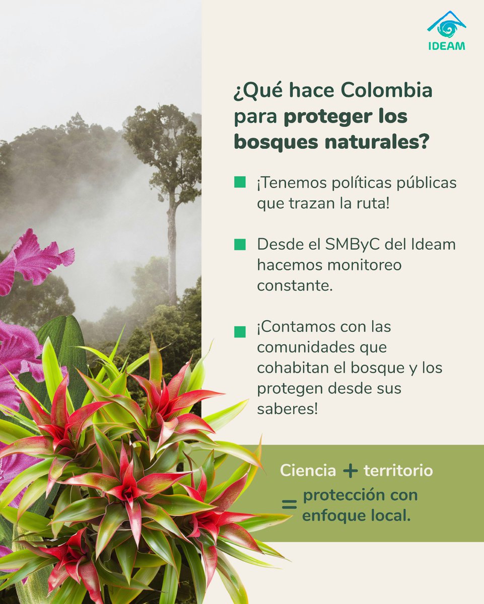 Ideam Colombia tweet media