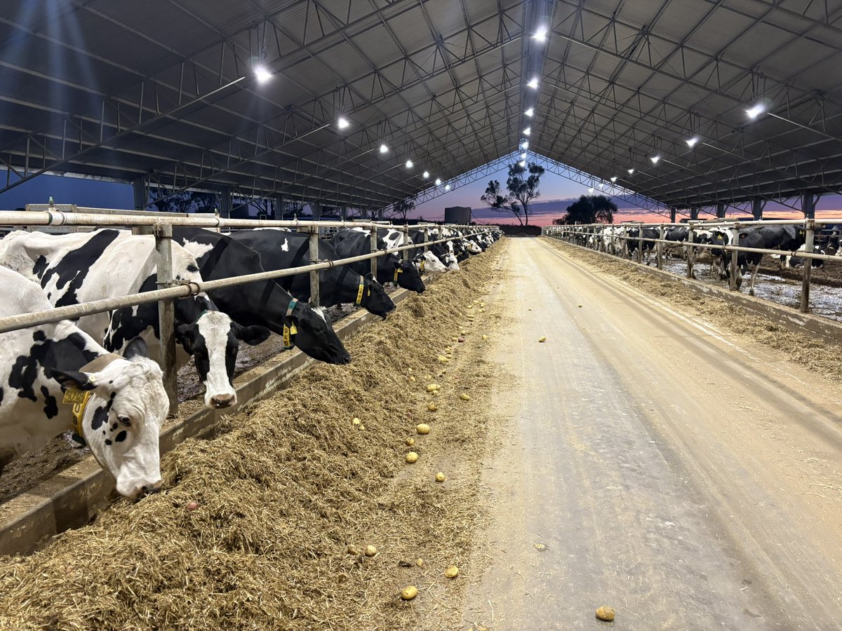 Winter mornings = cracking sunrises