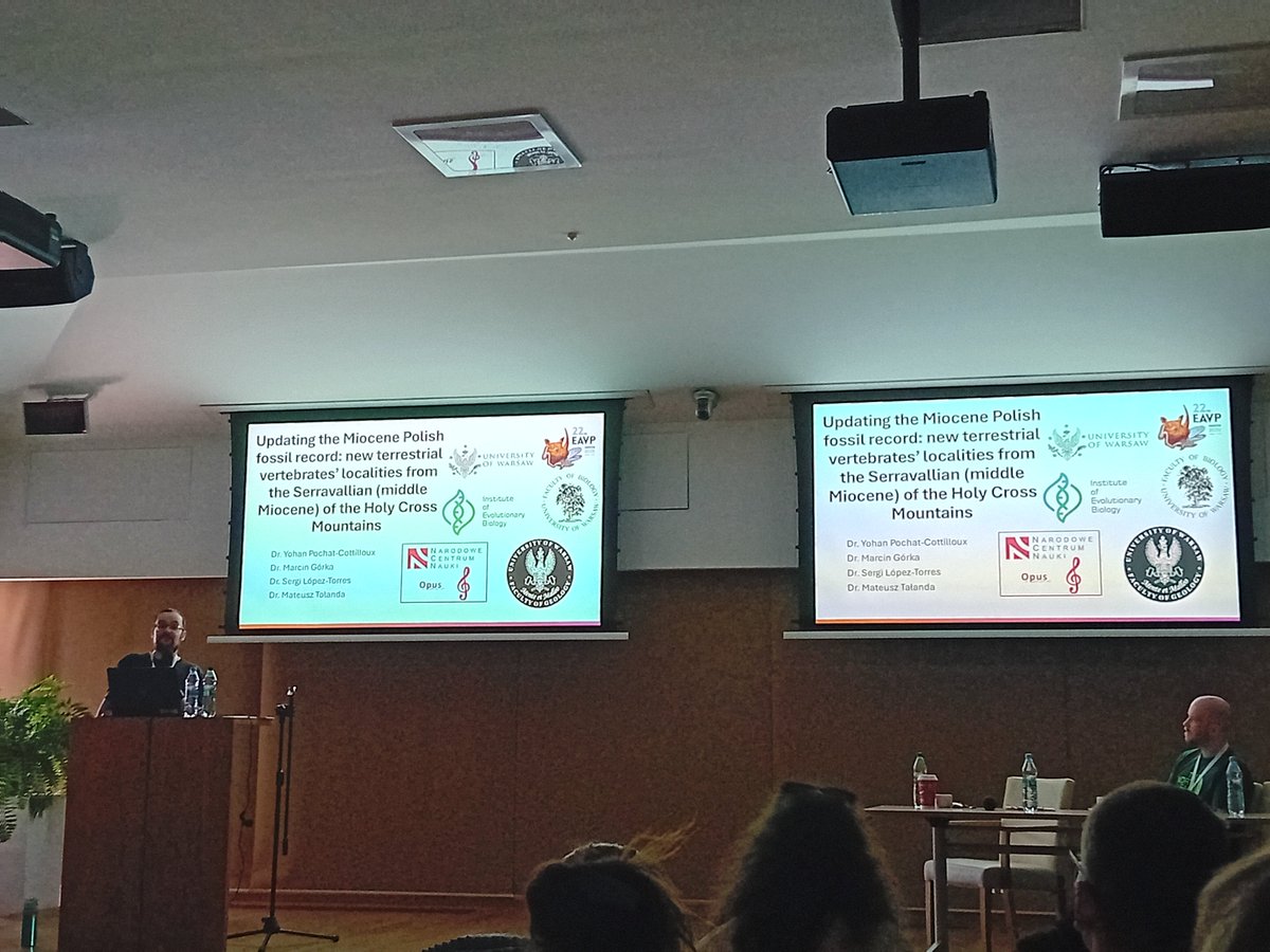 Holly Ellen Anderson (@palaeophd) on Twitter photo <a href="/YohanPochatCot/">Yohan Pochat</a> of <a href="/IBE_Warszawa/">Institute of Evolutionary Biology UW</a> is 'Updating the #Miocene #fossil record: new terrestrial #vertebrate localities from the Serravallian of the Holy Cross Mountains' at #EAVP2025 <a href="/YohanPochatCot/">Yohan Pochat</a> of <a href="/IBE_Warszawa/">Institute of Evolutionary Biology UW</a> is 'Updating the #Miocene #fossil record: new terrestrial #vertebrate localities from the Serravallian of the Holy Cross Mountains' at #EAVP2025