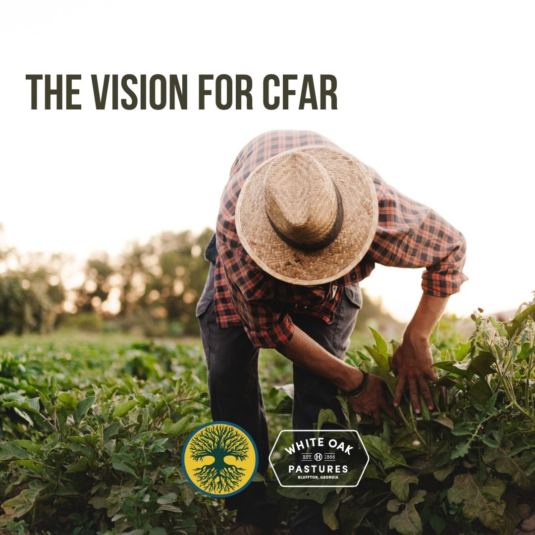 whiteoakpasture's tweet photo. Will Harris has always said that Regenerative Agriculture is not very scalable, but it is very replicatable. That is why he founded the Center for Agricultural Resilience (CFAR) which hosts educational workshops each year to pass our knowledge on to others. Thank you to our sponsors and those who have helped us share what we have learned over the last 30 years. It takes a village to do just about everything, including rebuilding a food system.

Learn more at https://t.co/9s5jKVtYCy