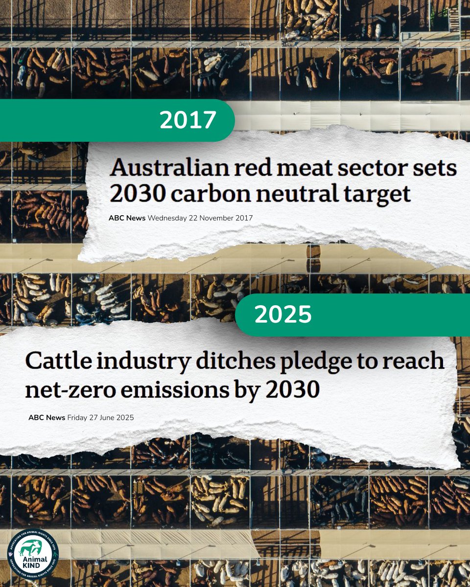 animalkind_aus's tweet image. The industry has abandoned its net-zero emissions target for 2030, with one representative quoted saying, “it takes a lot of stress off the farmers.”

The Fed Gov says they are &quot;disappointed&quot; with the decision. No accountability. No consequences.