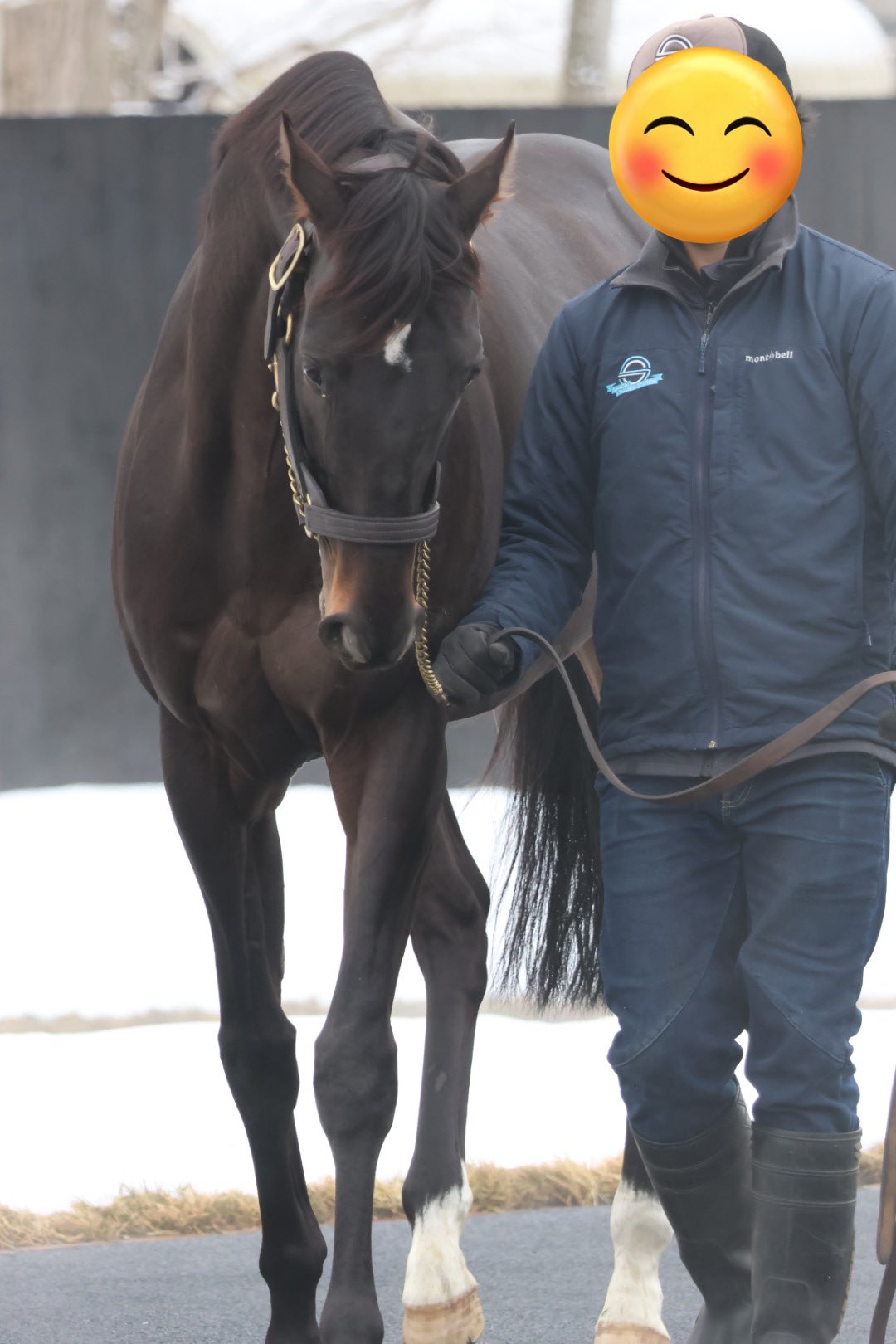 シャフリヤールのダービーゴール前写真未使用激レア シャフリヤールの