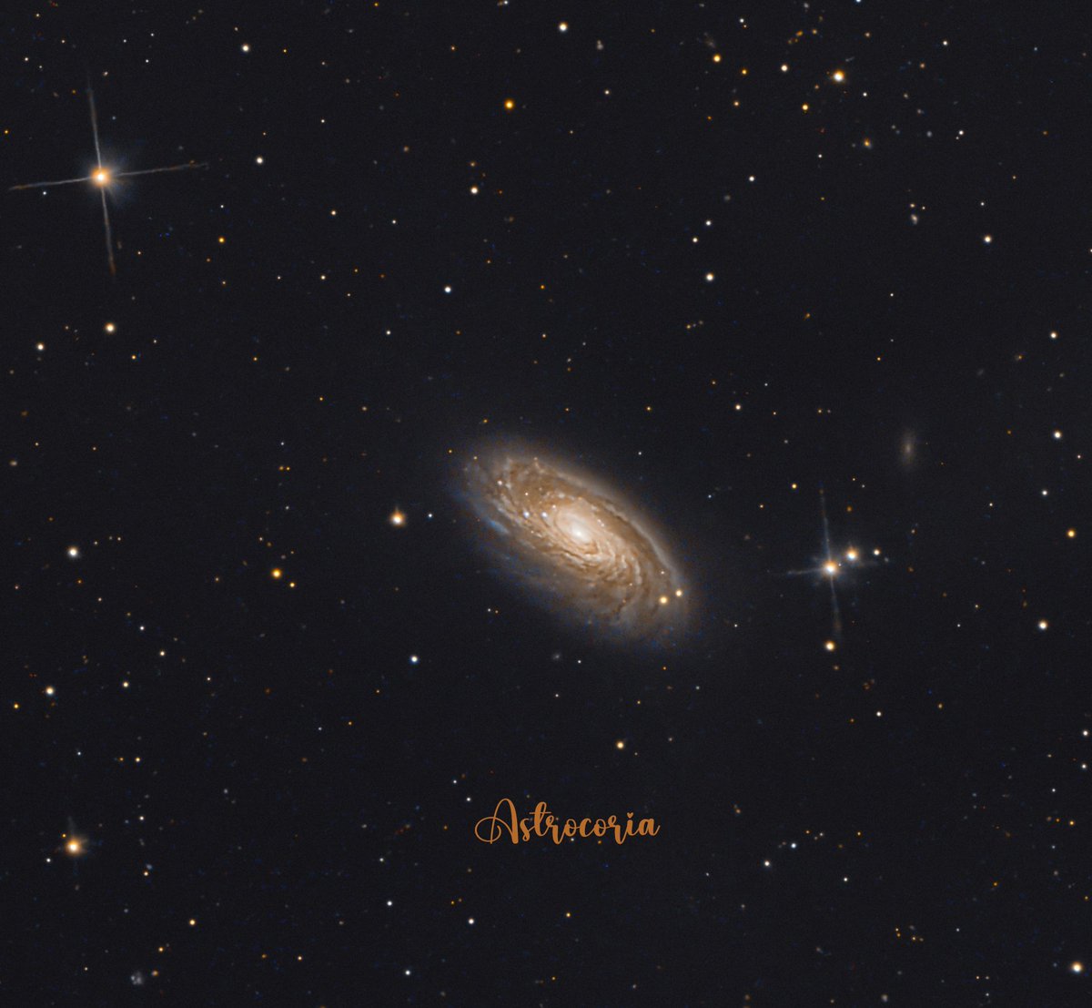 Astrocoria's tweet image. M88

Galaxia espiral de Coma Berenices 

#Universe 
#Galaxy