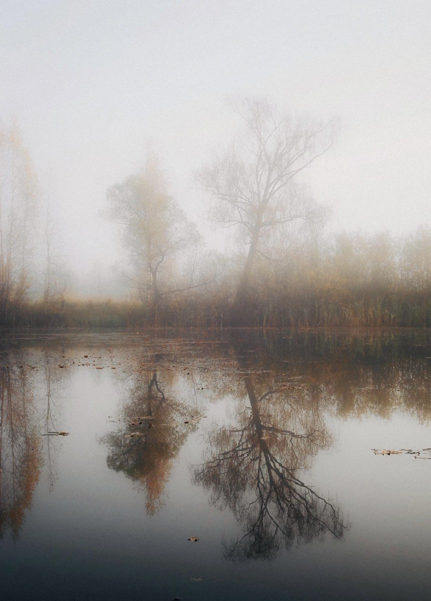 what taylor swift song are you listening to here?