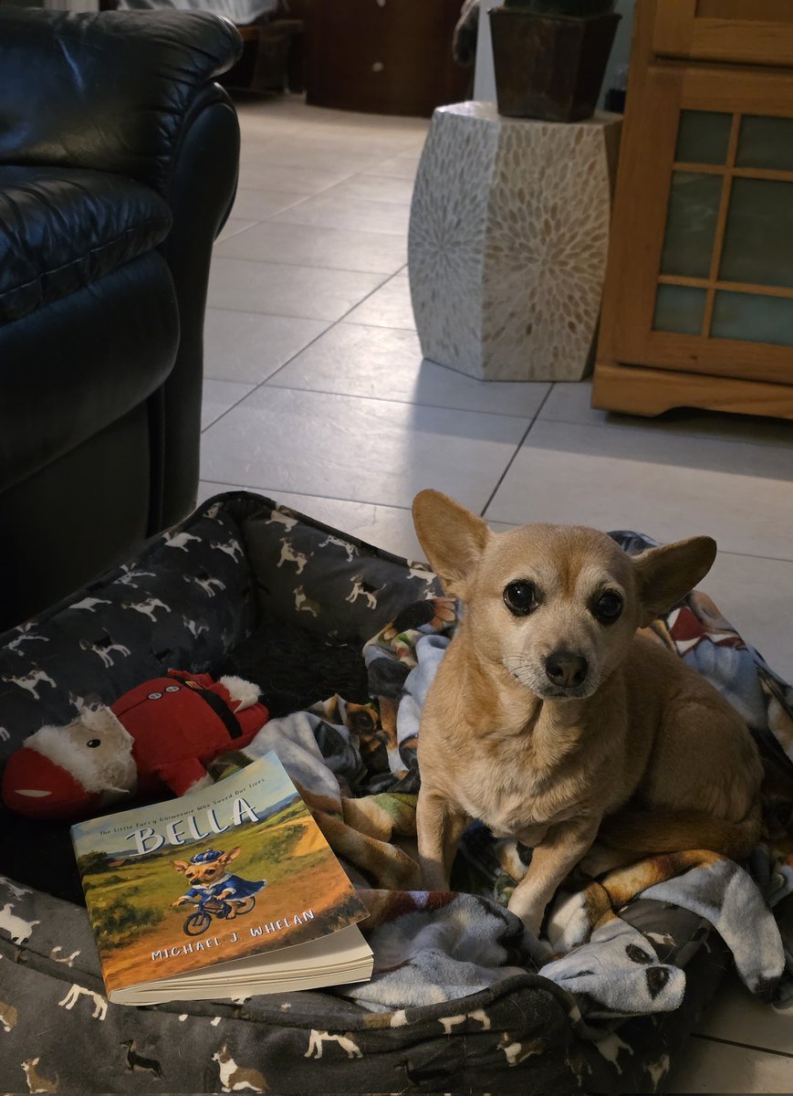 BELLA had a great day like her daddy.