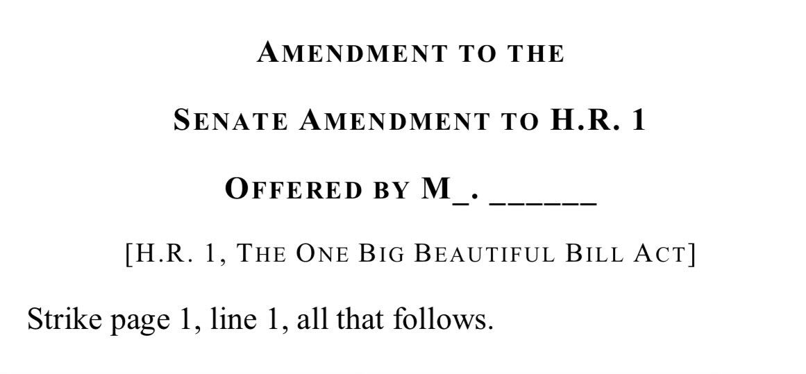 Minnesota’s Rep. Kelly Morrison introduced an amendment to strike the entire Big Beautiful Bill