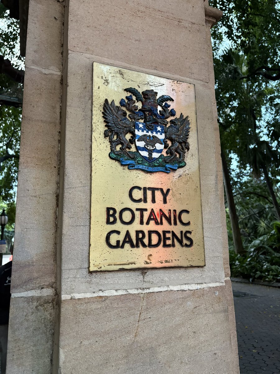 INSneuro's tweet image. Outside of INS meeting events, there is much beauty &amp;amp; adventure to be had in Brisbane! @INSneuro Member Engagement Committee Chair @DrCMMullen and I have toured a rainforest, glow worm cave, the botanical gardens…and got to meet some local wildlife 🐨🦘 

-@docblock_neuro