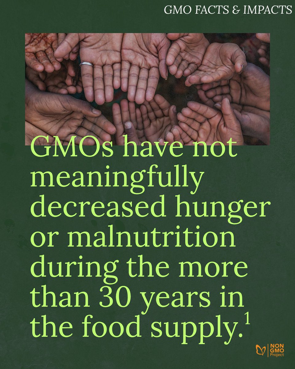 NonGMOProject's tweet image. Are #GMO crops really addressing our hunger crisis? The short answer is... no. This summer, we’re digging into research on how GMOs affect our #health, #environment, #farmers, and #foodsystems. Stay tuned for more from our GMO Facts & Impacts series! 🌱