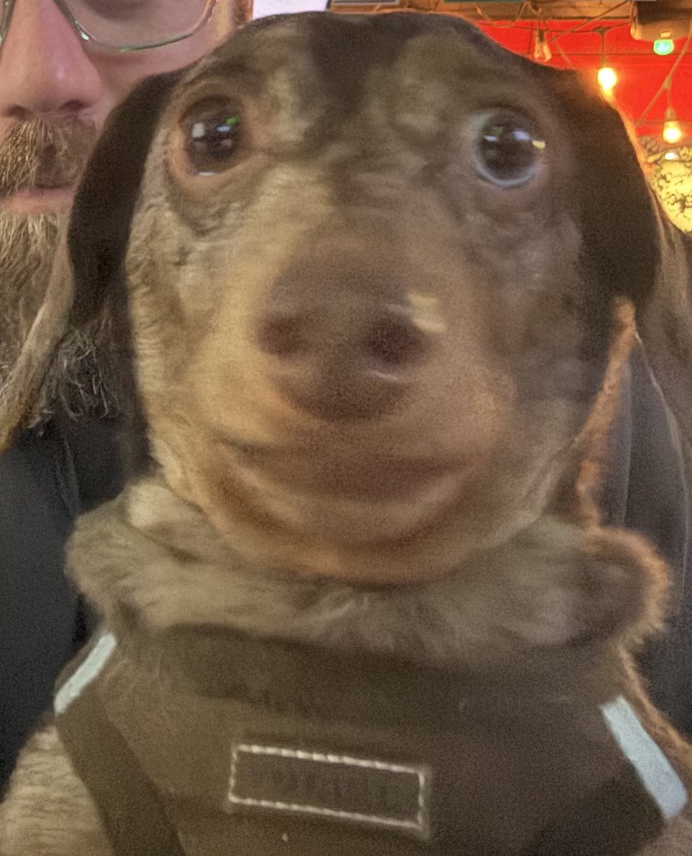 One year on Battlefield down 🫡

Here’s a picture of Norm.