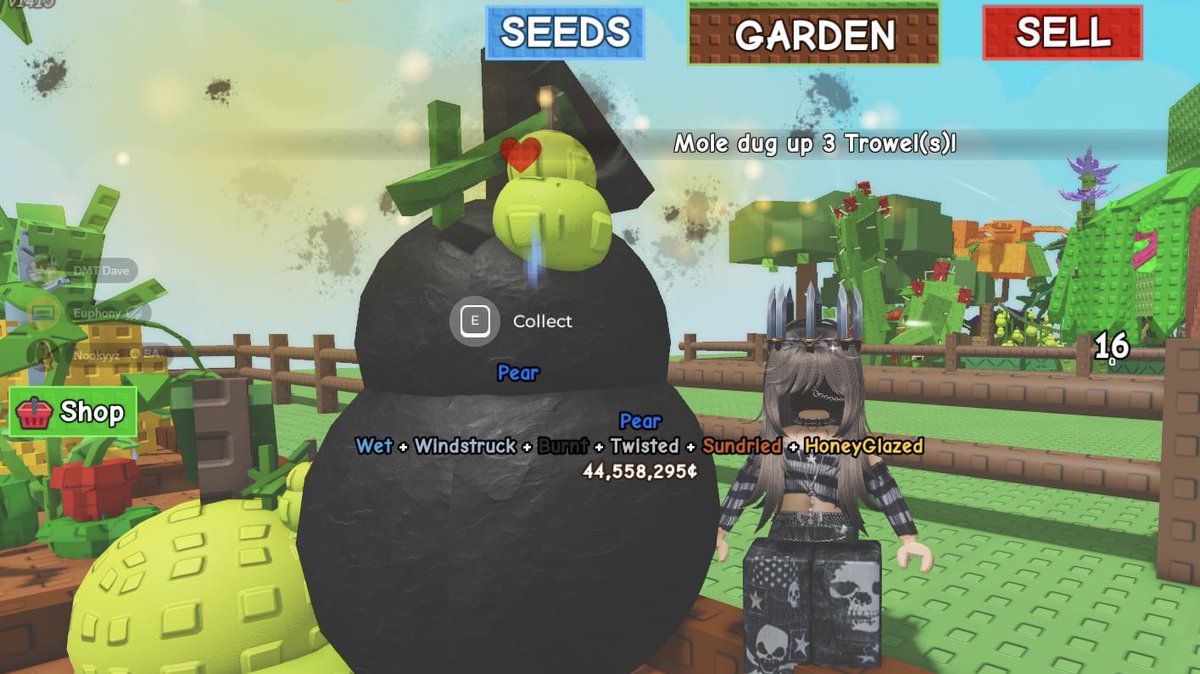 nookyyz's tweet image. My best fruit to date 🍐 #roblox #robloxgrowagarden #growagarden