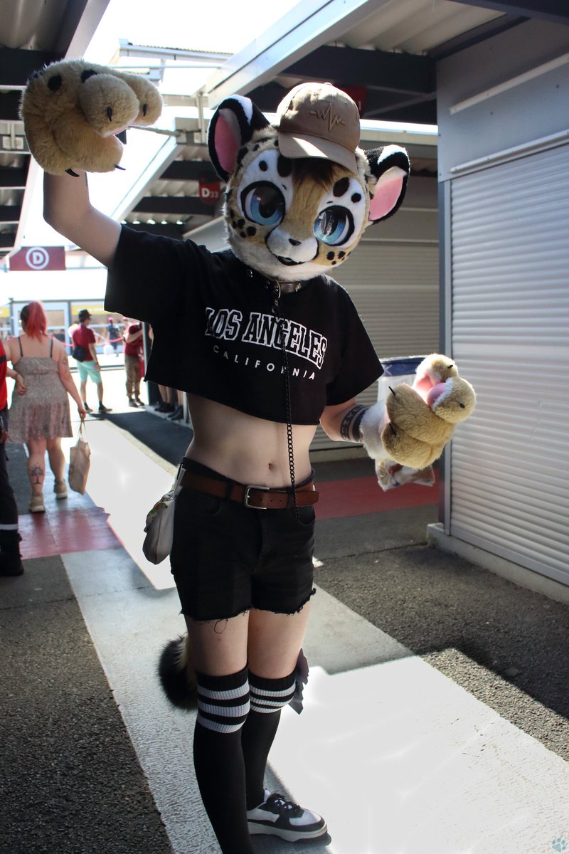 Seizuko_AQ's tweet image. My other suit, scotty ❤️
From 📷 @Ulfone_wolf ❤️
#JTF2025 #Fursuit #FursuitEveryday