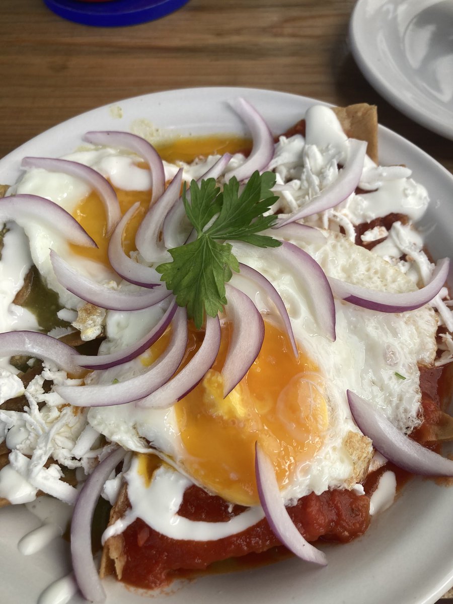 CDMX Gringo tweet media