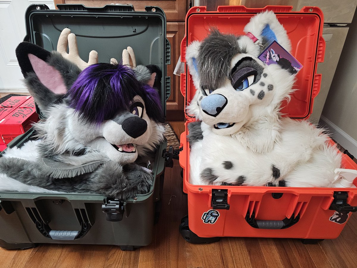 Two idiots are ready #ac2025 #Anthrocon