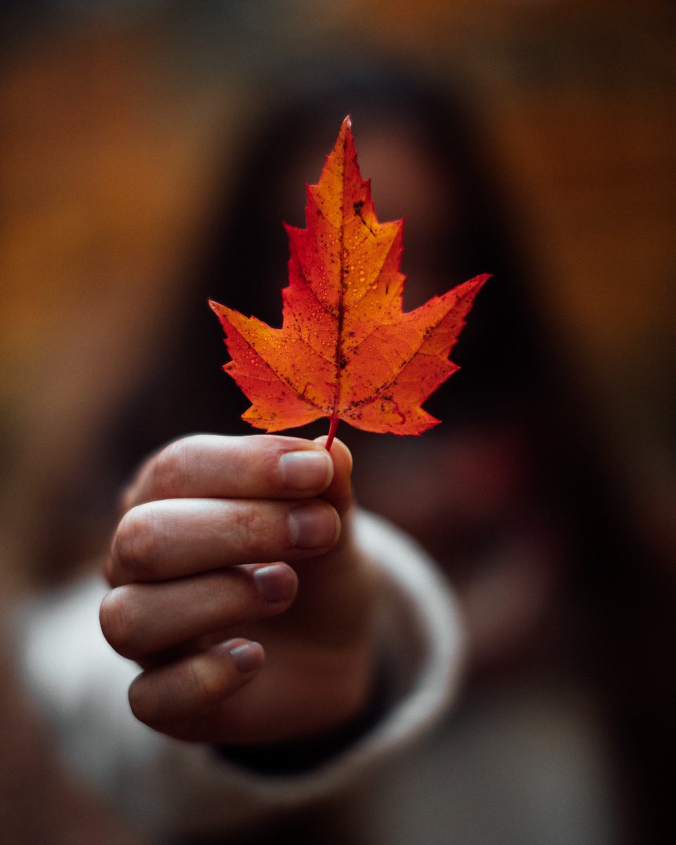 Visit Adirondacks (@visitadks) on Twitter photo To the neighbors we're always glad to see, we're wishing you a wonderful Canada Day π¨π¦ 
Aux voisins que nous sommes toujours heureux de voir, nous vous souhaitons une merveilleuse fΓͺte du Canada π¨π¦ To the neighbors we're always glad to see, we're wishing you a wonderful Canada Day π¨π¦ 
Aux voisins que nous sommes toujours heureux de voir, nous vous souhaitons une merveilleuse fΓͺte du Canada π¨π¦