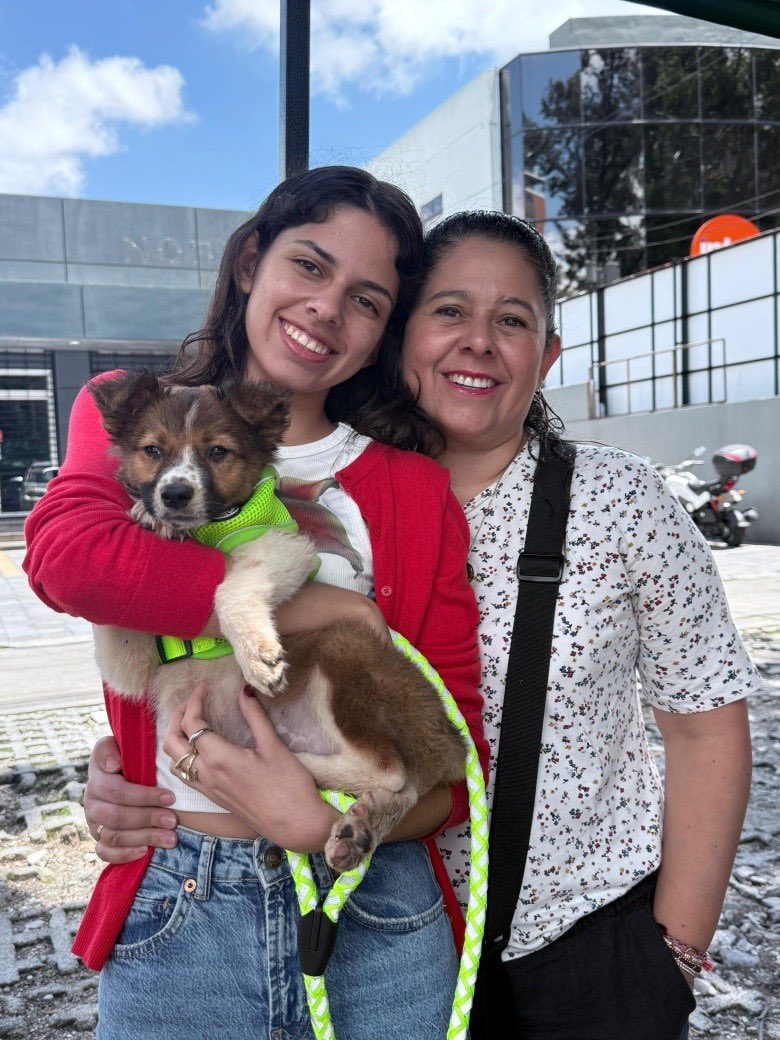Animals Hope tweet media