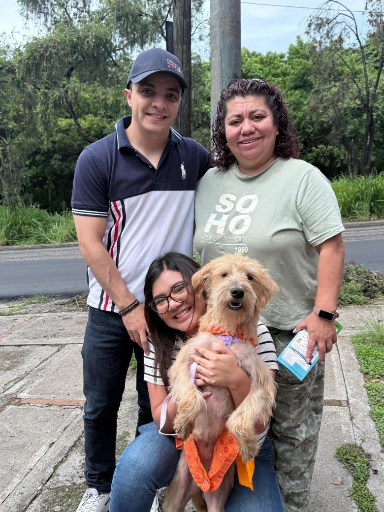 Animals Hope tweet media