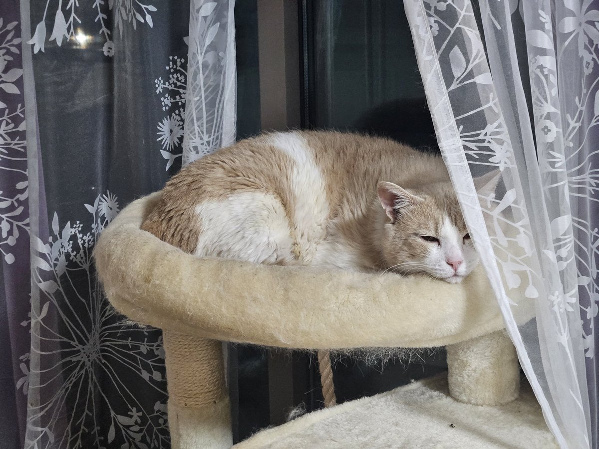 さっきびっくりするくらい近くで一瞬だけ座ってくれた～～～