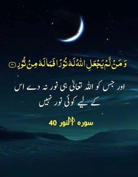 السلام علیکم ورحمۃ اللہ وبرکاتہ ،
اور جس کو اللہ ہی نور نہ دے اس کے لیے کوئی نور نہیں، بے شک سبحان اللہ
Good morning my dear friend 🌹💕
