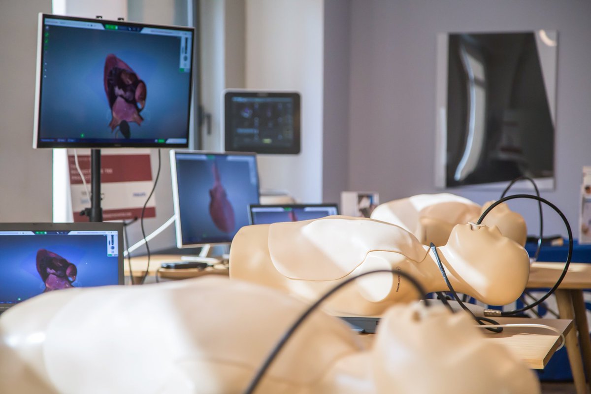 Nicolas Lim tweet media