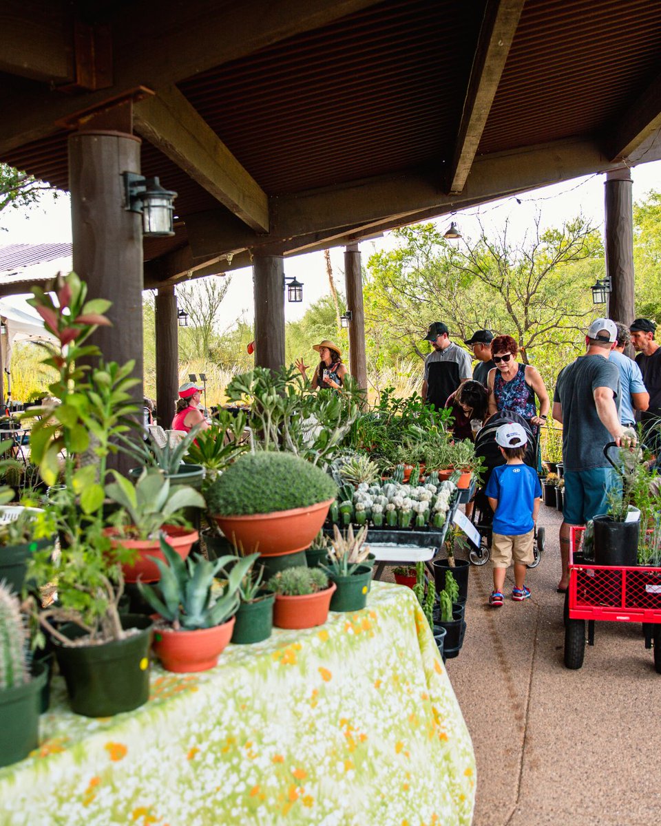 Tohono Chul tweet media