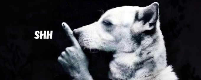 believe in something and...