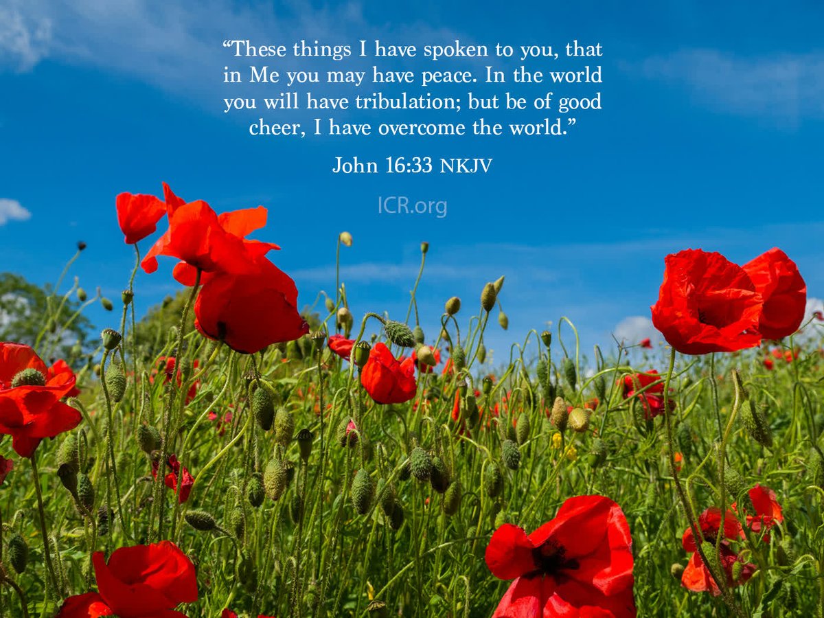 ICRscience's tweet image. 🌍 "These things I have spoken to you, that in Me you may have peace. In the world you will have tribulation; but be of good cheer, I have overcome the world." (John 16:33 NKJV)
ICR's July 2025 wallpaper is now available for mobile, tablet, and desktop!
icr.org/article/july-2…