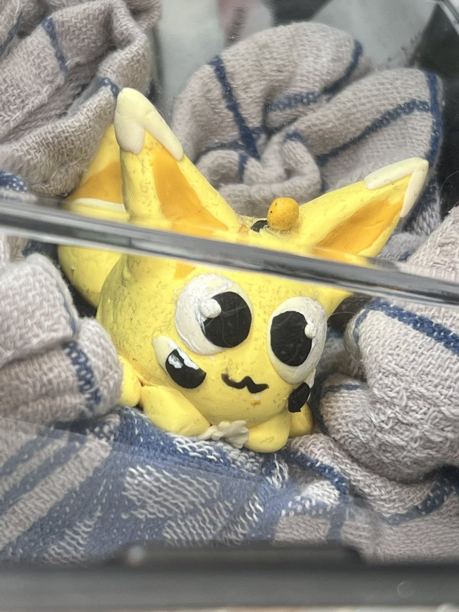 OverEzEggs's tweet image. Lint covered yolk goes on an adventure to go trout fishing