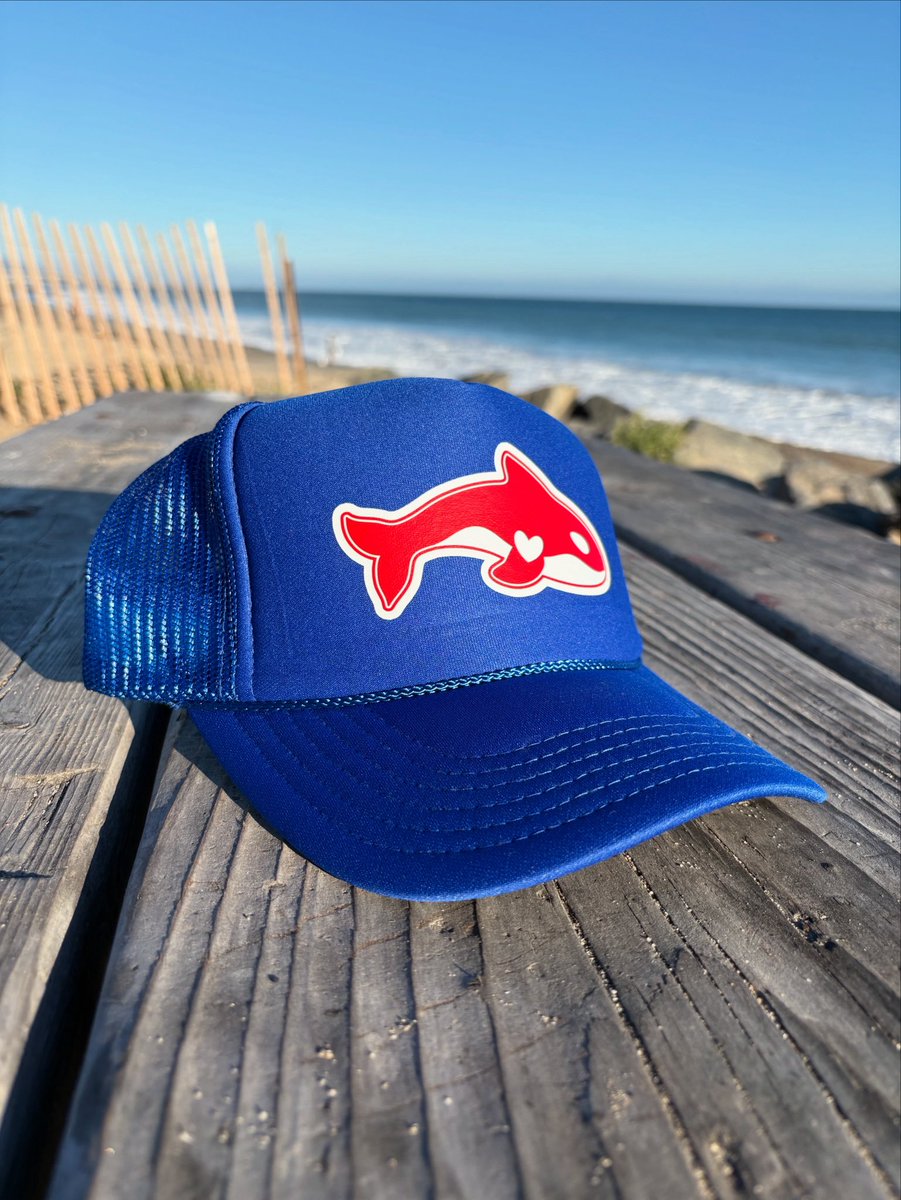 You don’t chase the wave. You are the wave.

Chosen Current isn’t just a hat. It’s a reminder that your path was never random. You were built for the flow you’re in.

Blue like the calm. Red like the purpose.
Be Majestic move how you were meant to.

BeMajestic.store