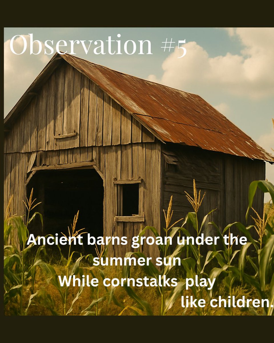 RayYanek's tweet image. #hauntings #ghosts #paranormal #ghosthunting #amwriting #writers #writing #writingcommunity #YALit #horror #YAfiction #YAhorror #YACommunity #YAwriting