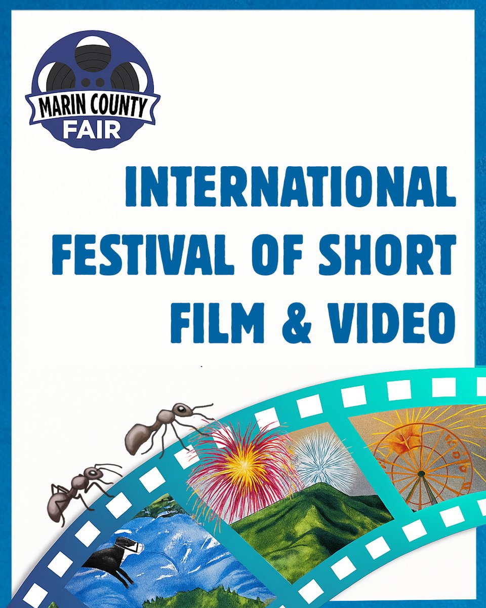 By popular demand, the Marin County Fair International Film Festival is back in its 51st year! Films ranging from Animation, Documentary, Environmental, Narrative, and Experimental will be screened daily at 12:30pm and at 6:15pm in the Showcase Theater.

 marinfair.org/film-festival