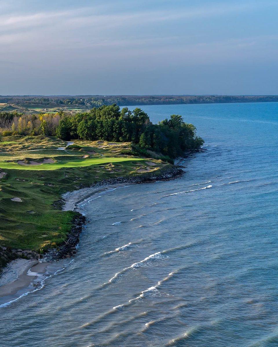 Mark the Caddie tweet media