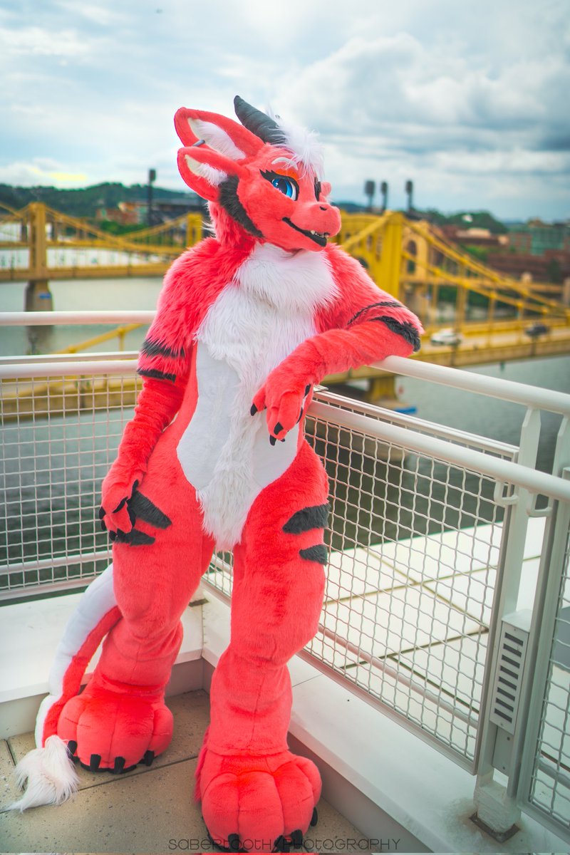MushroomRoom (@mushroomrooms) on Twitter photo AnthroCon is almost here!
โค๏ธ Ask for hugs
โค๏ธ Pictures are cool
โค๏ธ Open to chatting
โ๏ธ No touching without asking
๐ท <a href="/vsabertoothv/">BIG KING SABER ๐ MP</a>.bsky.social
๐ชก @glitzyfox.bsky.social
@plaidpawsmaus.bsky.social
#fursuit #anthrocon #dragon AnthroCon is almost here!
โค๏ธ Ask for hugs
โค๏ธ Pictures are cool
โค๏ธ Open to chatting
โ๏ธ No touching without asking
๐ท <a href="/vsabertoothv/">BIG KING SABER ๐ MP</a>.bsky.social
๐ชก @glitzyfox.bsky.social
@plaidpawsmaus.bsky.social
#fursuit #anthrocon #dragon