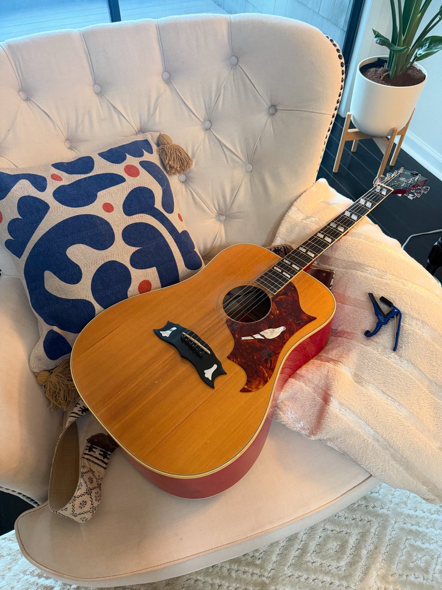 Sir Gibbie is taking a little break from rehearsal - who is going to Audiofeed? Can’t wait to see you all!