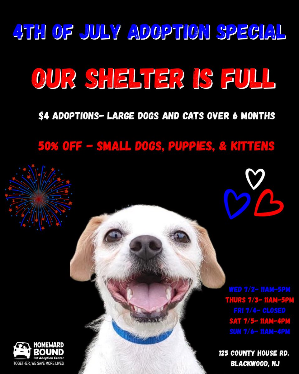 HomewardPetsNJ's tweet image. We are full! Check out the details below for our 4th of July adoption special!
Special excludes kittens who are currently in foster care.
📍 Blackwood, NJ