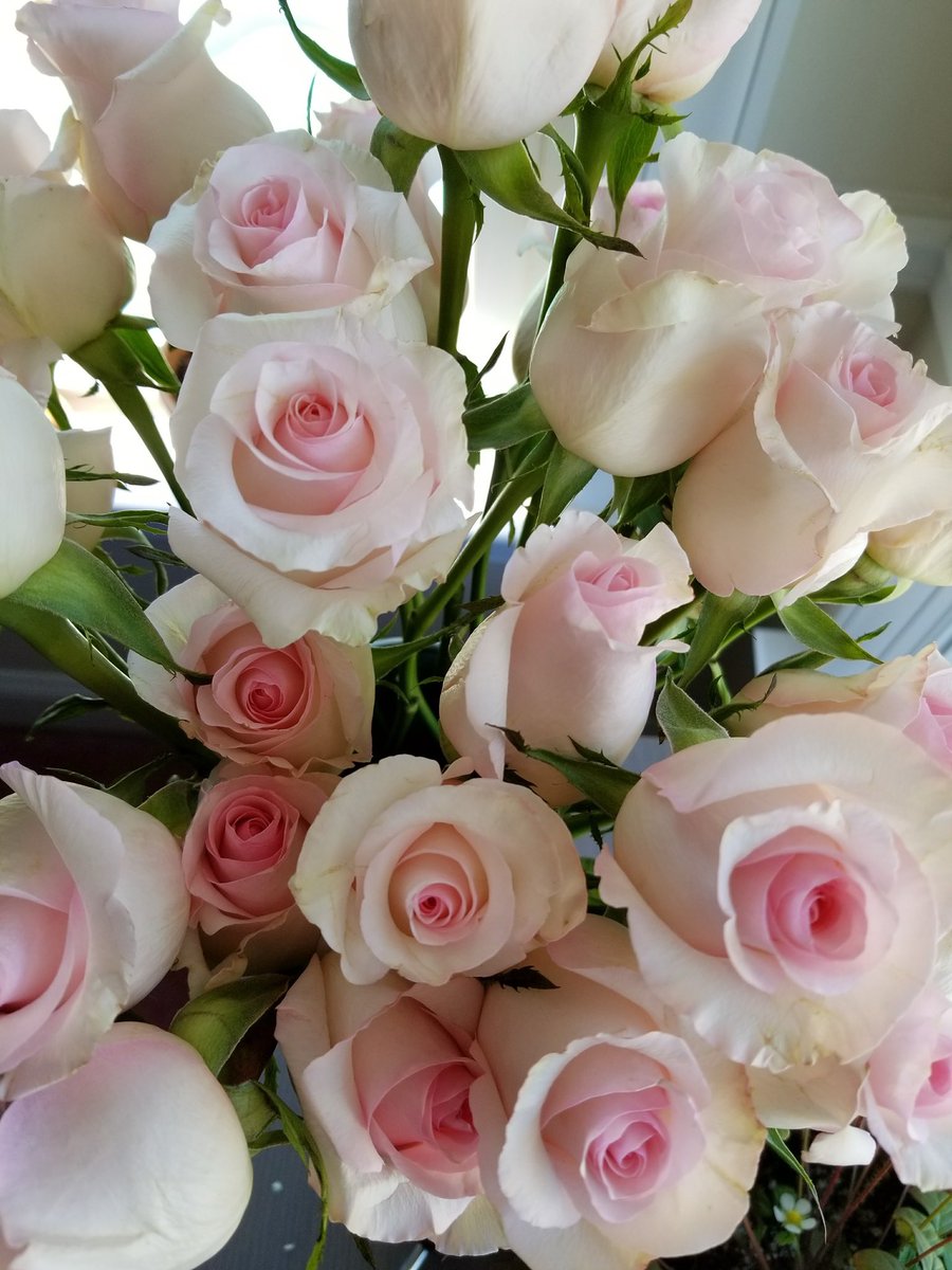 🎵 i can buy myself flowers 🎶