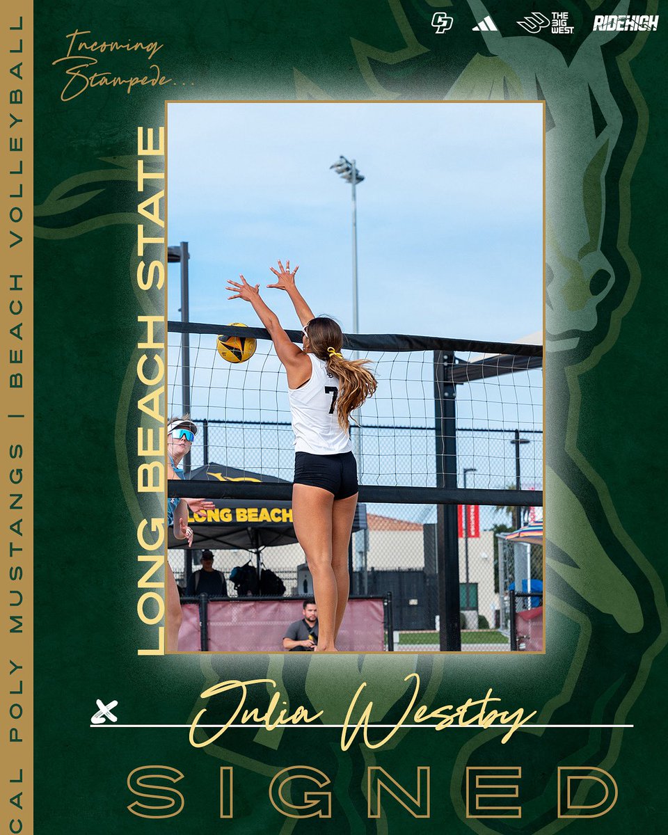 calpolybeach's tweet image. 𝑺𝒊𝒈𝒏𝒆𝒅 ✍️
Very excited to add Julia Westby to our program! Julia has been a three time All-Big West selection at Long Beach State the last three years and is now bringing her talents to SLO. Welcome, Julia!
#RideHigh